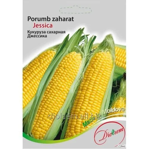 Seminte de Porumb zaharat Jessica 6 g (0712 90 11)  DS