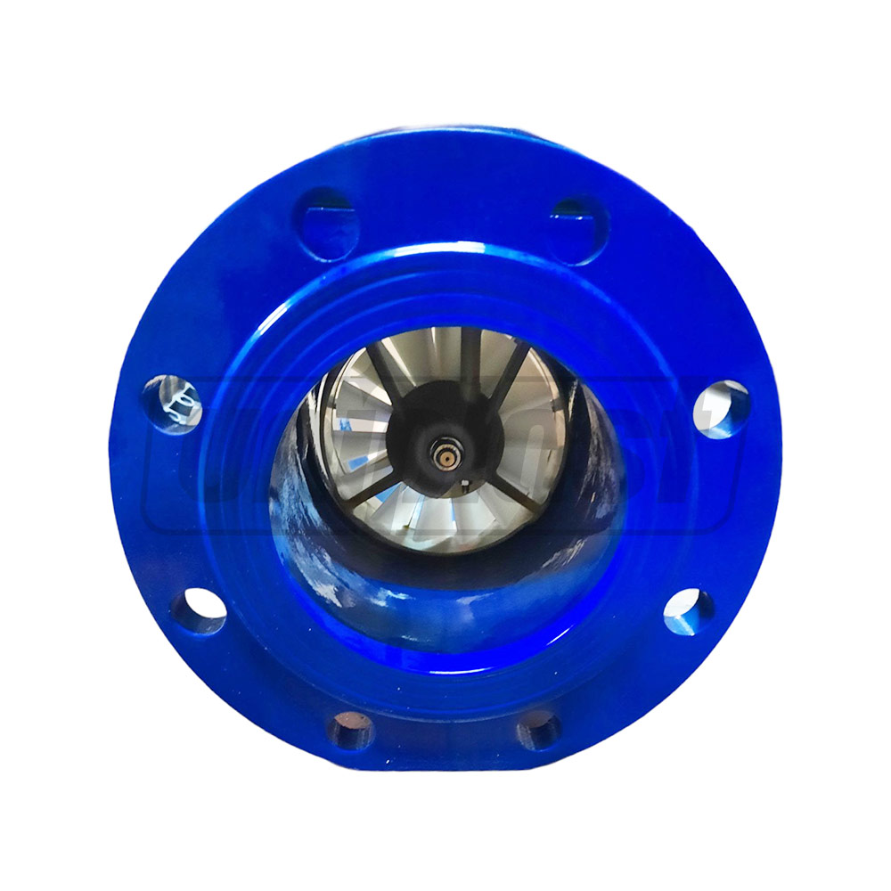 Водомер D.150 фланцевый DSF-CF (SS)