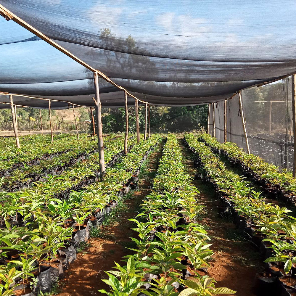 Plasa umbrire 90% H2 (2 m x 100 m) neagra