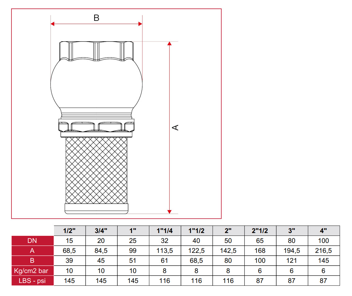 Sorb cu supapa de sens si filtru din alama D. 2.1/2" PN6 BRASS 1400212  ITAP