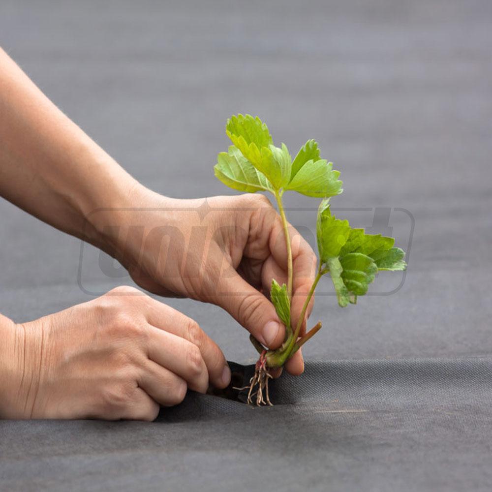 Агроволокно 50 г/м² (черное) (1.6 м x 10 м) 16 м²  UNITAPE