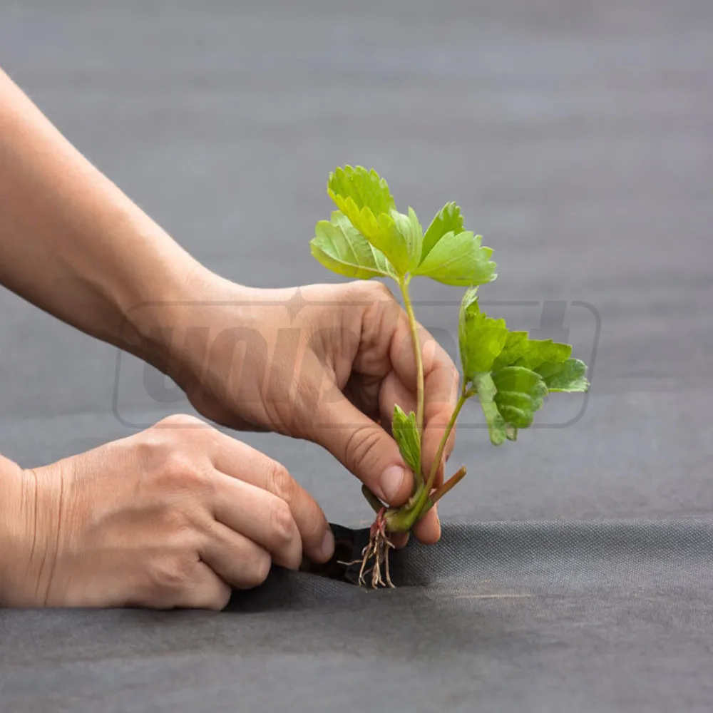 Folie agril (neperforata) 50 g/m² (negru) (3.2 m x 10 m) 32 m²  UNITAPE