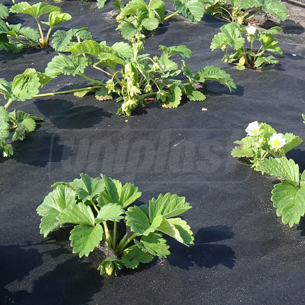 Folie agril (neperforata) 50 g/m² (negru) (3.2 m x 10 m) 32 m²  UNITAPE