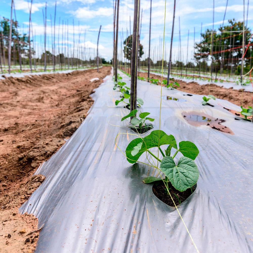 Пленка (прозрачная) для мульчирования грунта 1000 м x 20 мкм x 1.0 м  UNITAPE