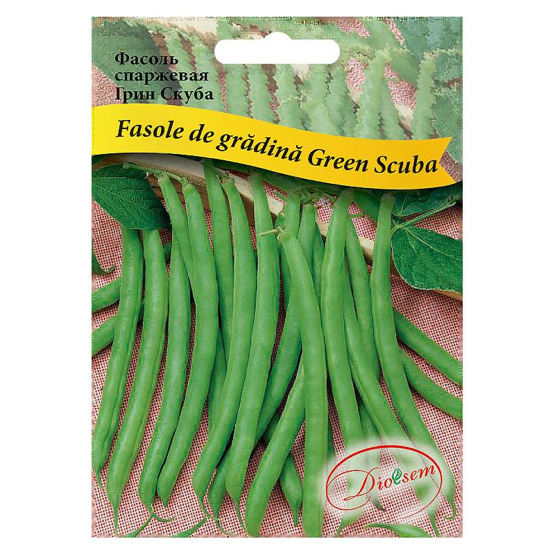 Seminte de Fasole de gradina verde Green Scuba MAXI 20 g (0713 39 00)  DS