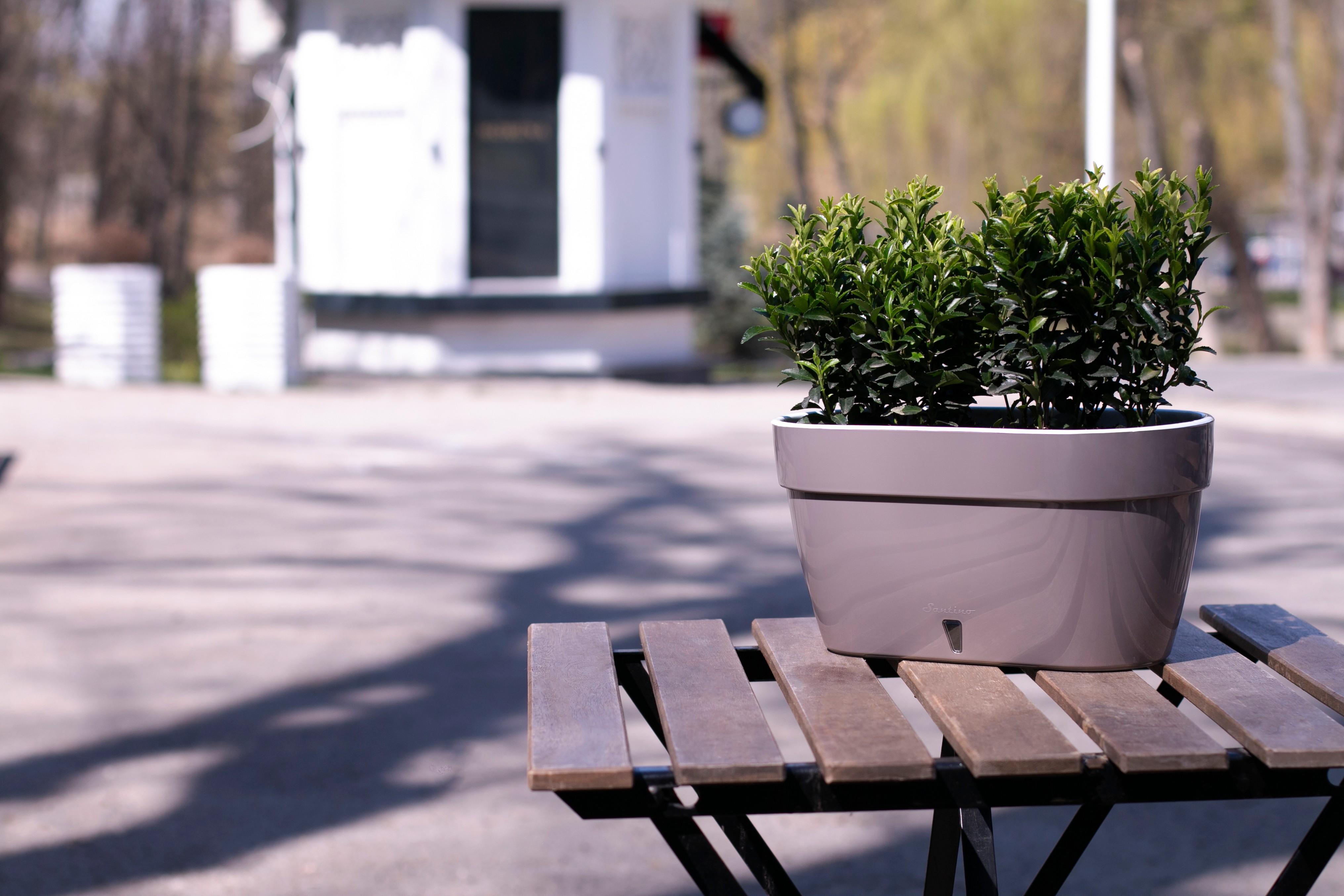 Jardiniera ASTI 500 12 L 50 cm (sade-alb)