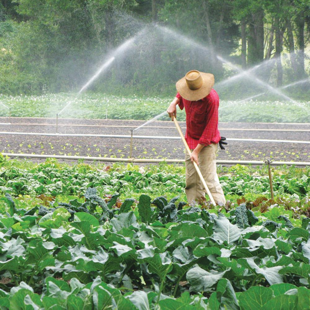 Спринклер A/2 D. 1" П круговой нерегулируемый металлический (360º) 10x18 м, 1.5-3 bar, 2.5 м³/ч (желтый) 3410 ATIGLAN