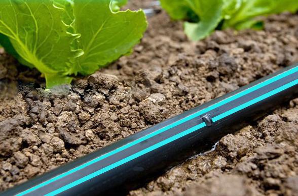 Banda pentru irigatii prin picurare D. 16 mm, 7 mil, 20 cm, 0.8 bar, 1.40 LPH  UNITAPE Blue Line