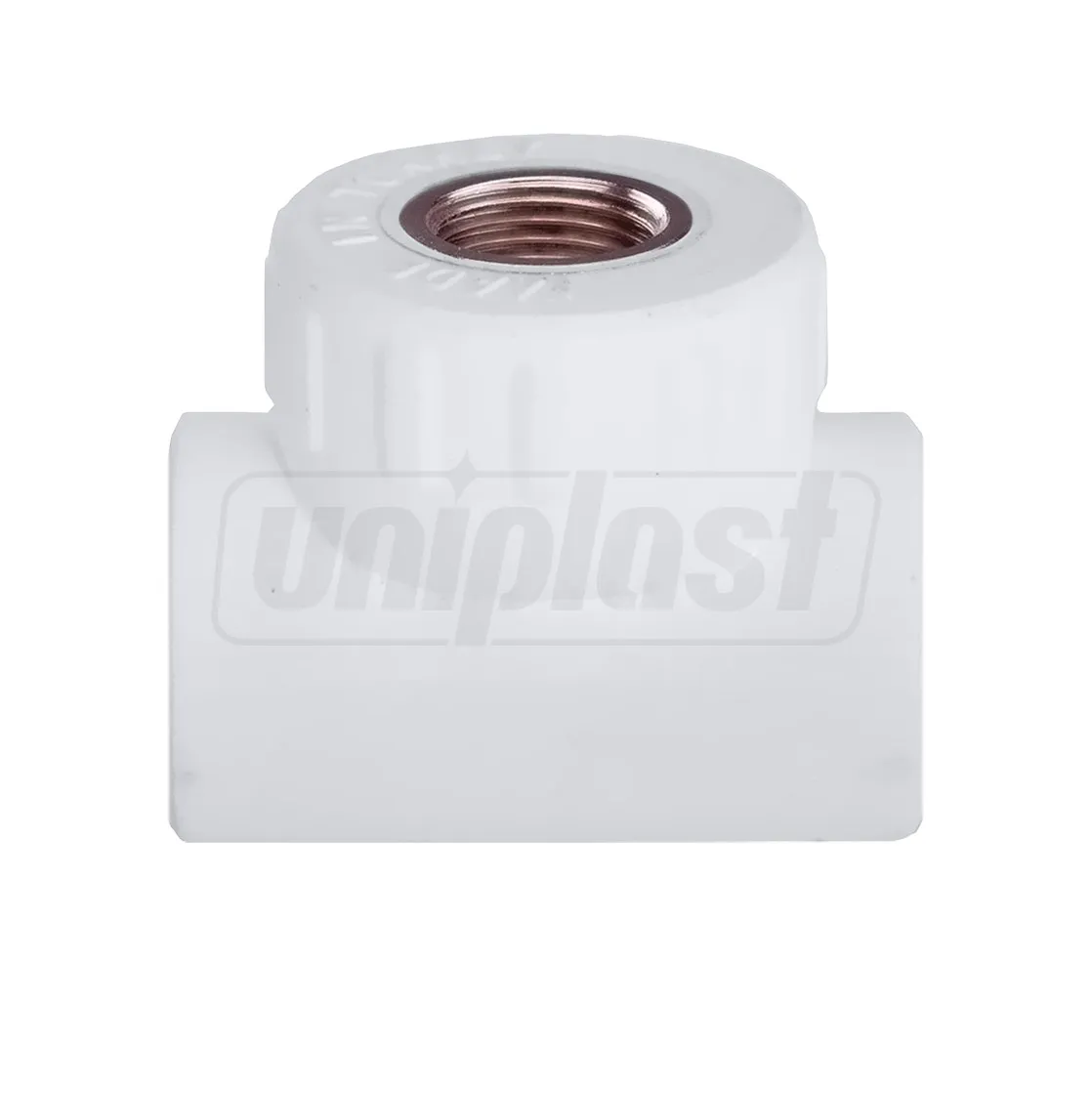 Teu PPR D. 25 x 3/4" FI x 25 KAS