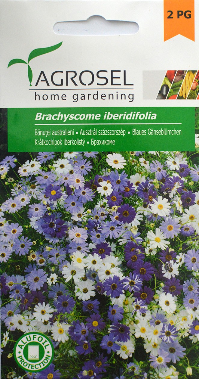 Seminte de Banutei Australieni melanj 1.5 g (1209 30 000)  AS