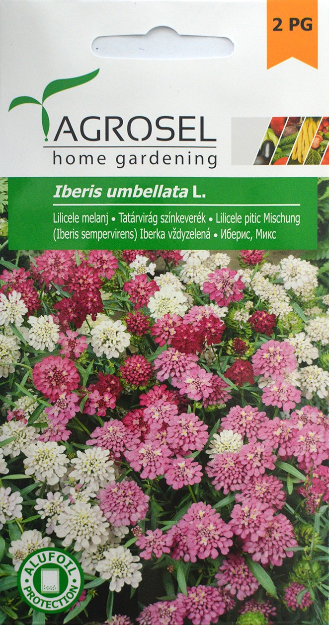 Семена Иберис вечнозеленый смешанный 4 г  AS