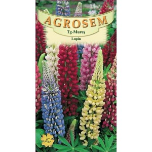 Семена Люпин многолистный многолетний смешанный 2 г  AS