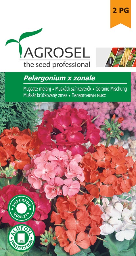 Seminte de Muscate melanj 0.08 g (1209 30 000)  AS