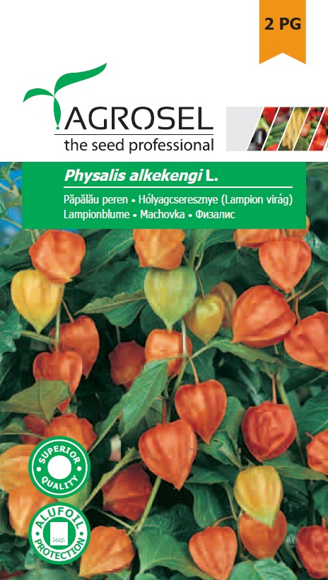 Seminte de Papalau peren 1 g (1209 99 990)  AS