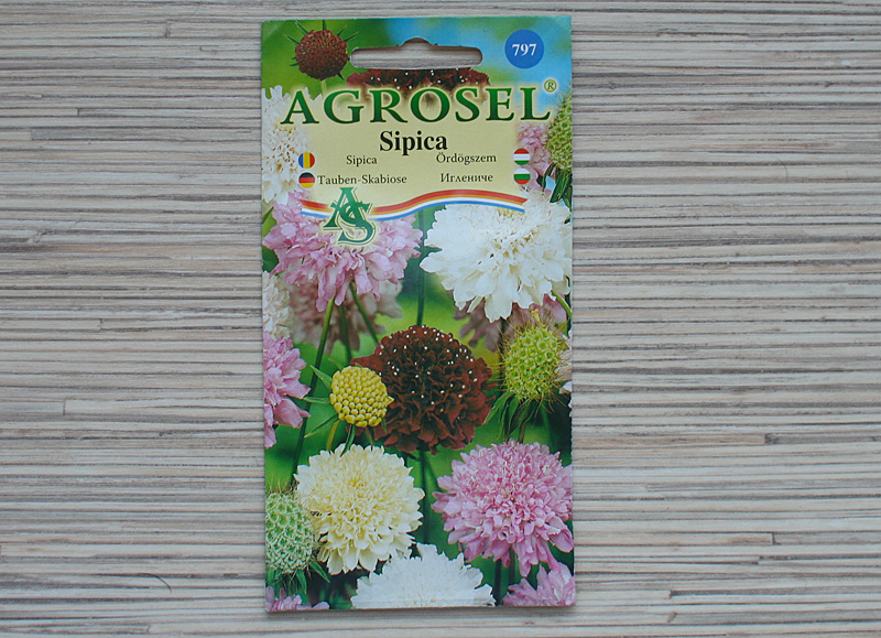 Seminte de Sipica melanj 1.5 g (1209 30 000)  AS