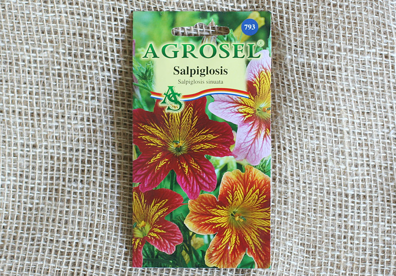 Seminte de Salpiglosis 1.5 g (1209 30 000)  AS