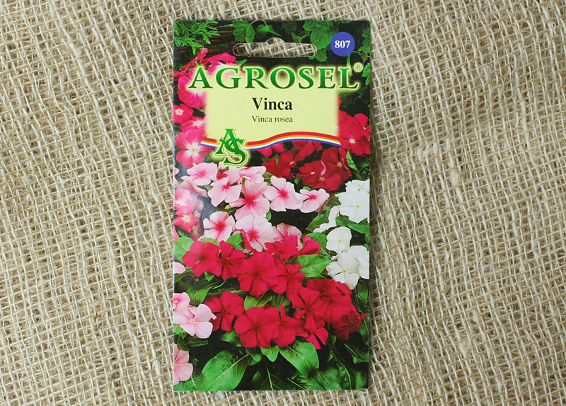 Семена Барвинок 0.5 г  AS