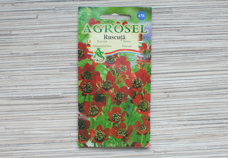 Семена Адонис красный 7 г  AS