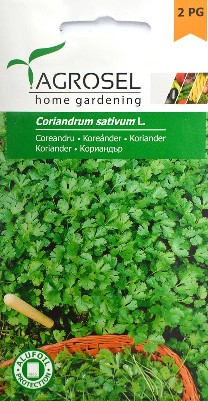 Семена Кориандр 5 г  AS