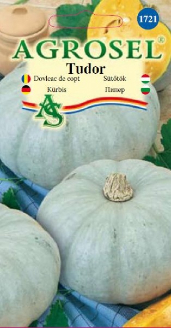 Семена Тыква Tudor 3 г  AS