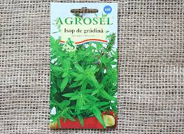 Seminte de Isop de gradina 2 g (1209 30 000)  AS