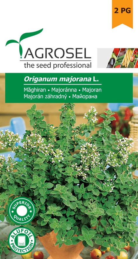 Семена Майоран 1 г  AS