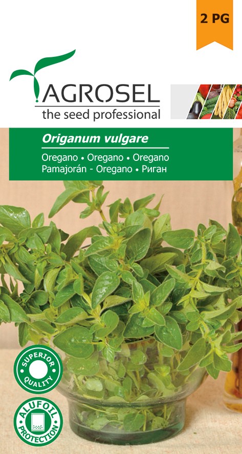 Seminte de Oregano 1 g (1209 99 990)  AS