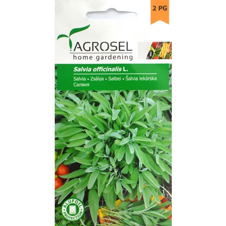 Seminte de Salvie 2.5 g (1209 99 990)  AS