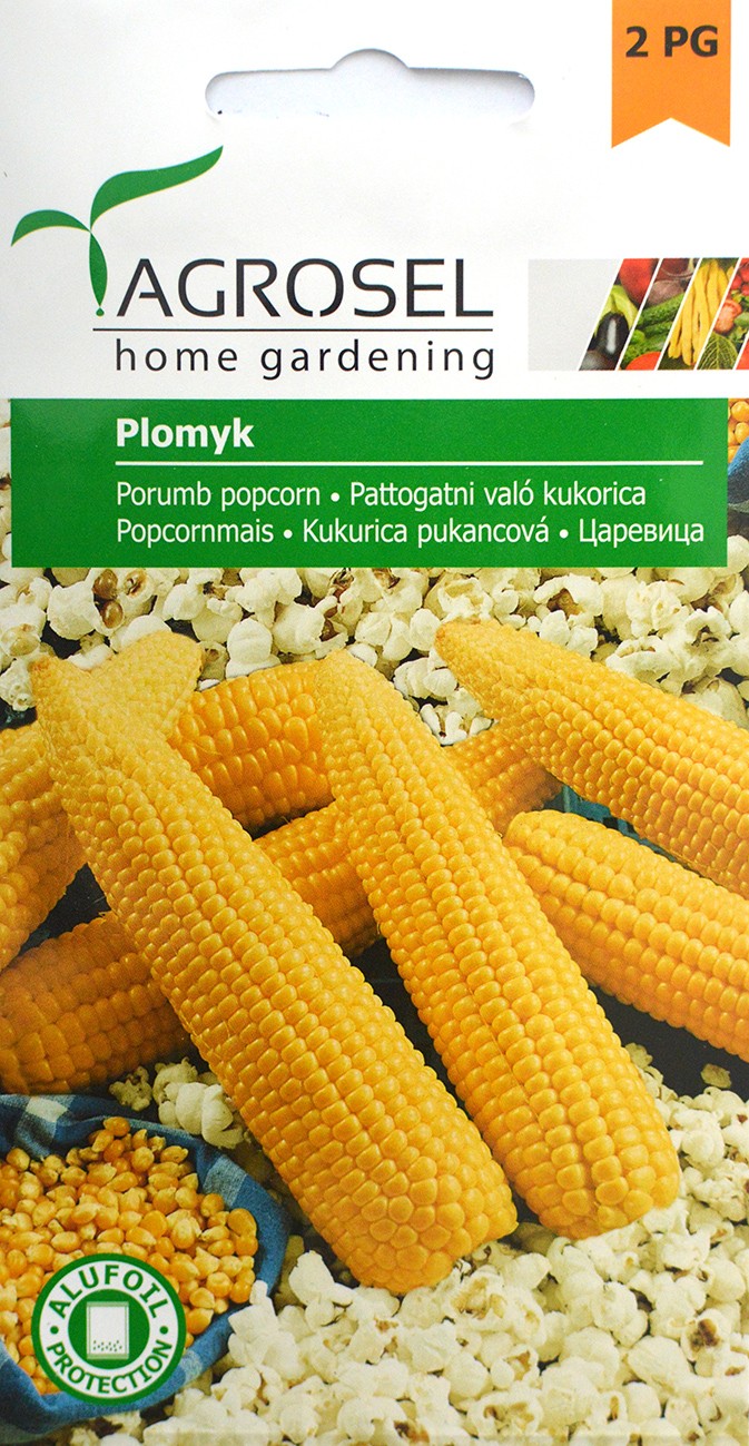Seminte de Porumb Popcorn Plomyk 20 g  AS