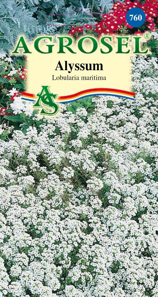 Семена Алиссум белый 0.65 г  ST
