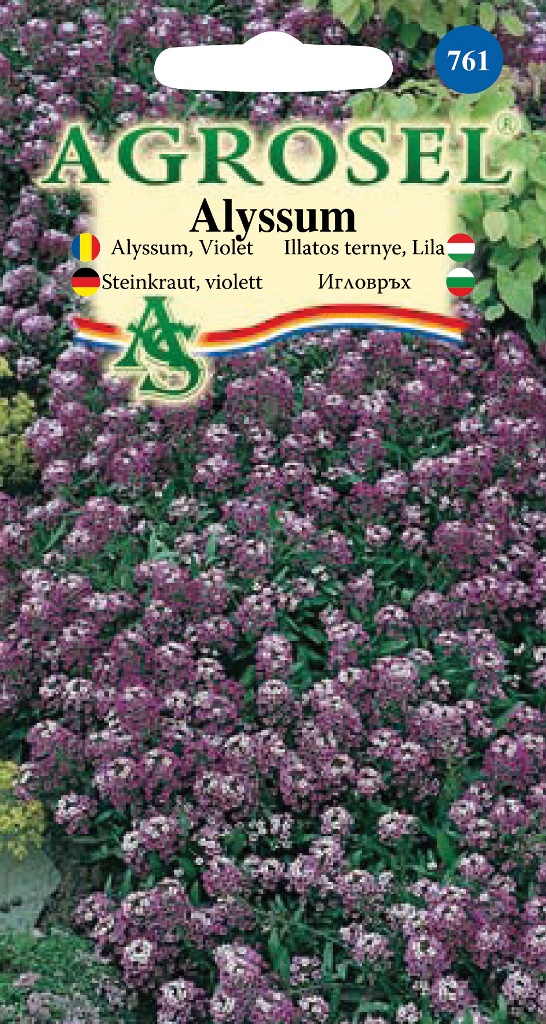 Seminte de Alyssum violet 0.65 g (1209 30 000)  ST