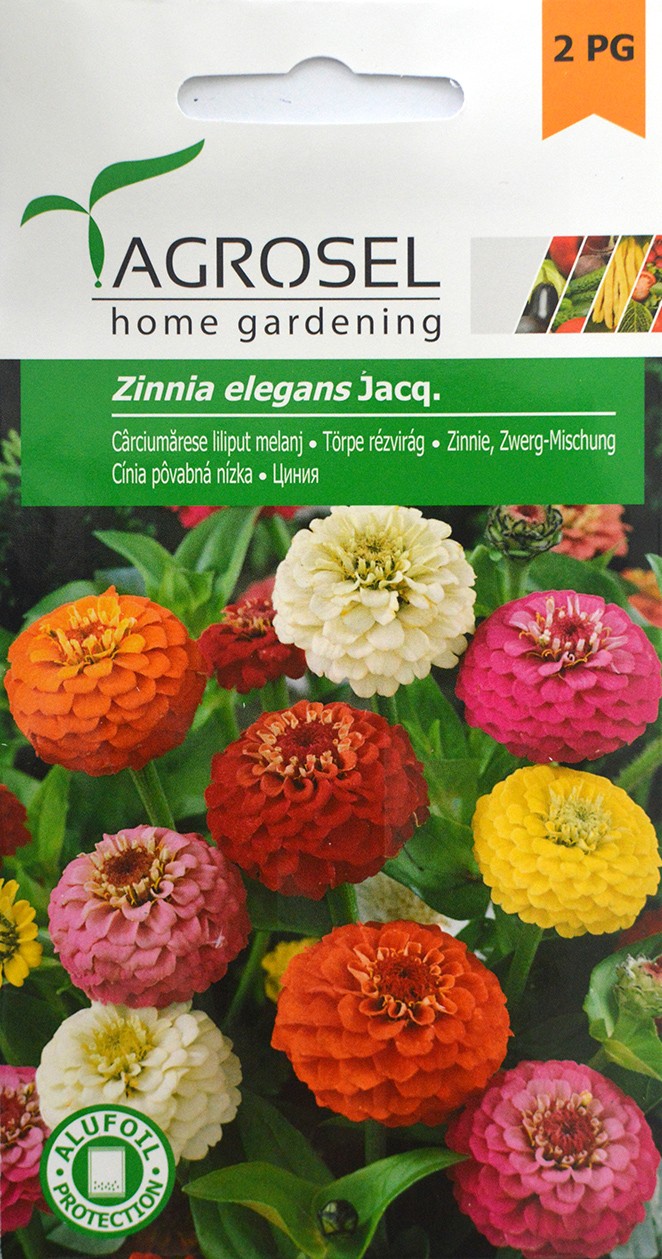 Семена Цинния изящная 2 г  AS