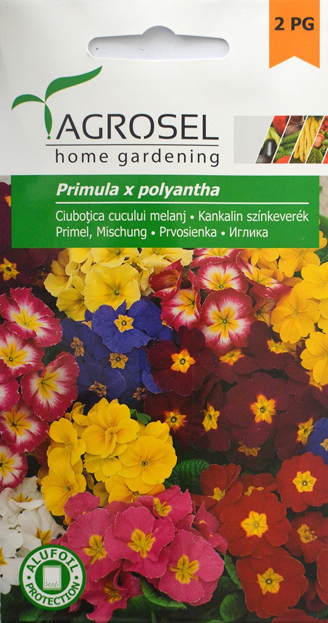 Seminte de Ciubotica cucului melanj 0.2 g (1209 30 000)  AS