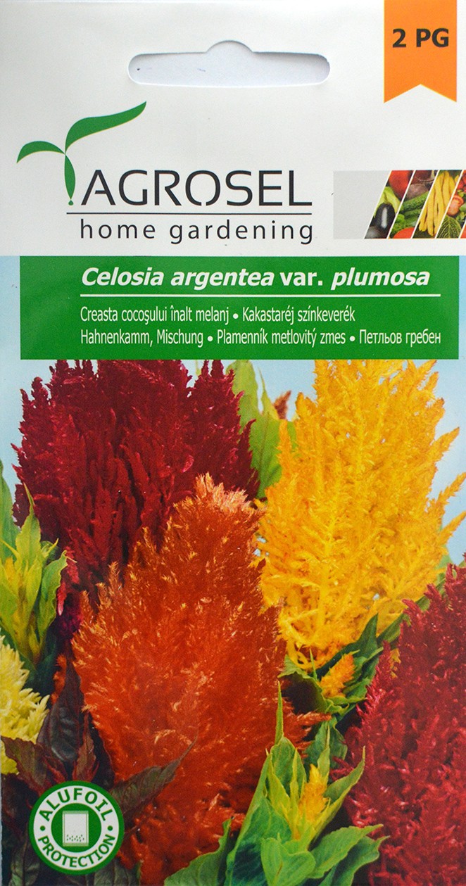 Seminte de Creasta cocosului melanj 0.3 g (1209 30 000)  ST