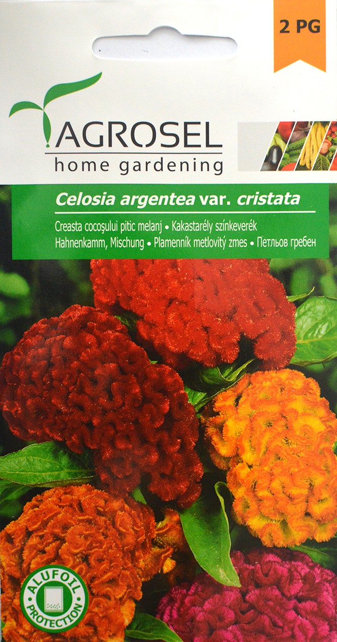 Seminte de Creasta cocosului pitic melanj 0.65 g (1209 30 000)  ST