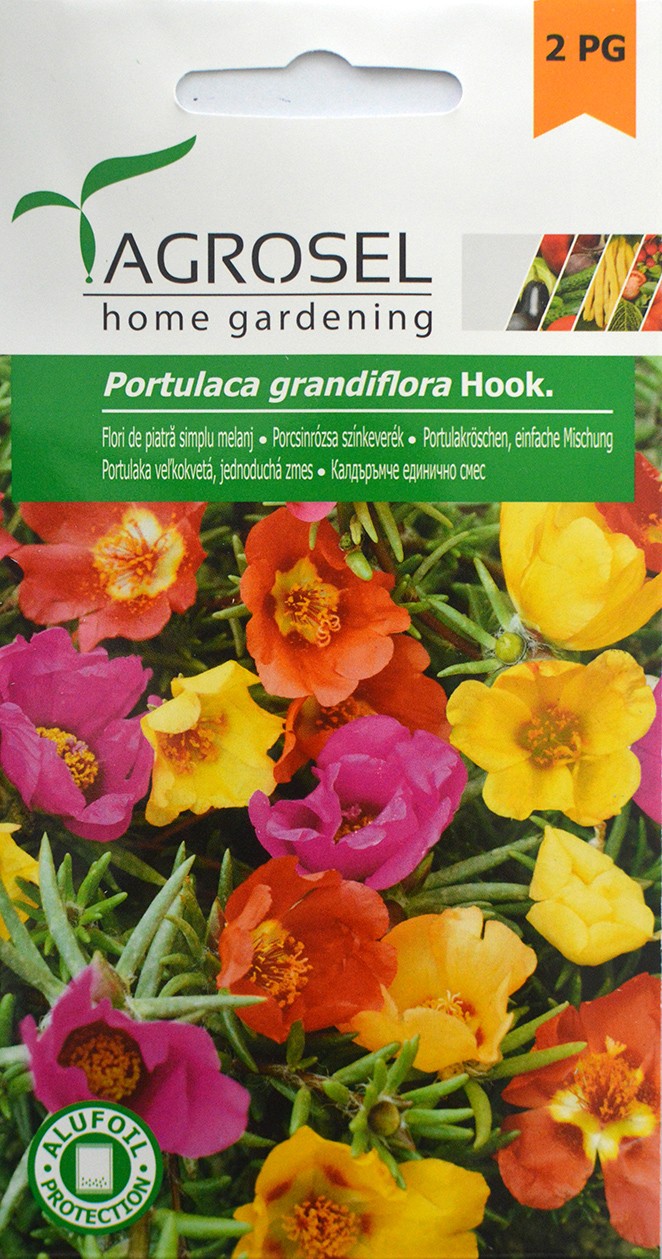 Seminte de Flori de Piatra 0.6 g (1209 30 000)  AS