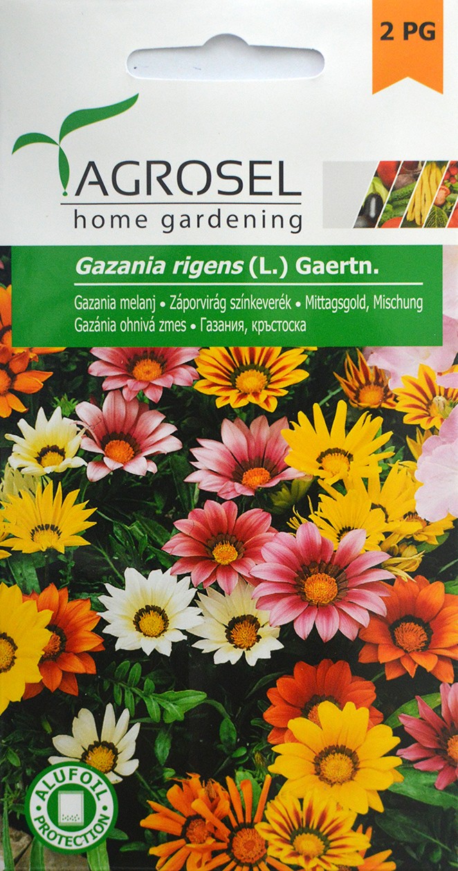 Seminte de Gazania 0.1 g (1209 30 000)  ST