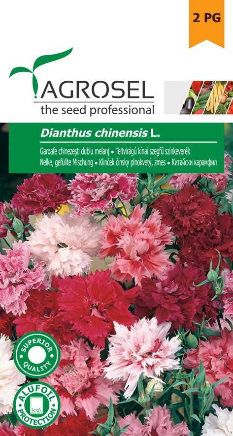 Семена Гвоздика китайская 1 г  AS