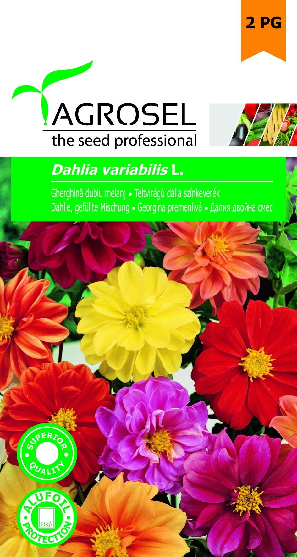 Seminte de Gheorghina pitic melanj 0.5 g (1209 30 000)  AS