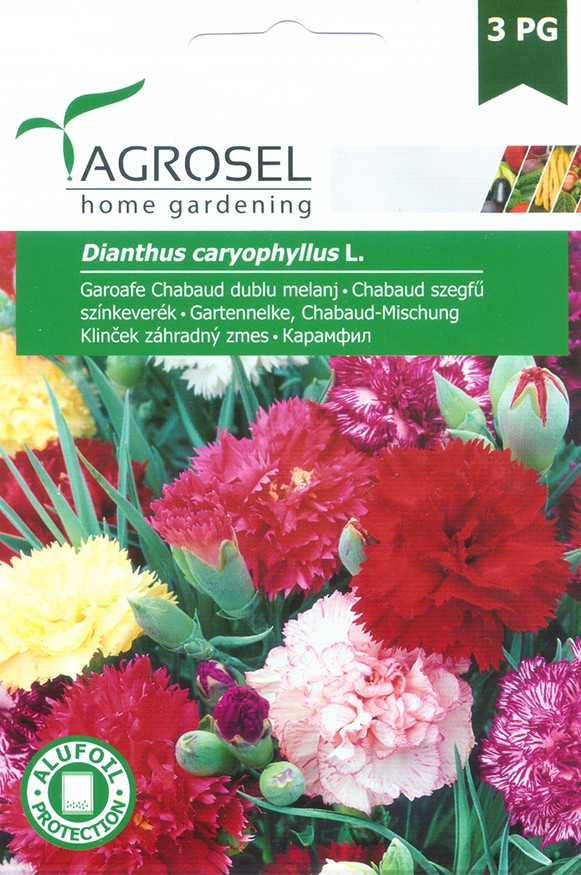 Seminte de Garoafe Chabaud melanj 0.3 g (1209 30 000)  ST