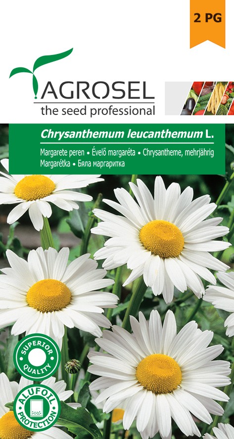 Seminte de Margarete peren 2.2 g (1209 30 000)  AS