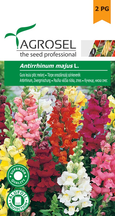 Seminte de Gura leului pitic melanj 1 g (1209 30 000)  AS