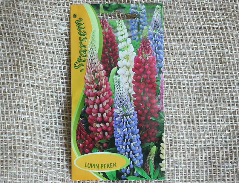 Семена Люпин многолистный многолетний 1.3 г  ST