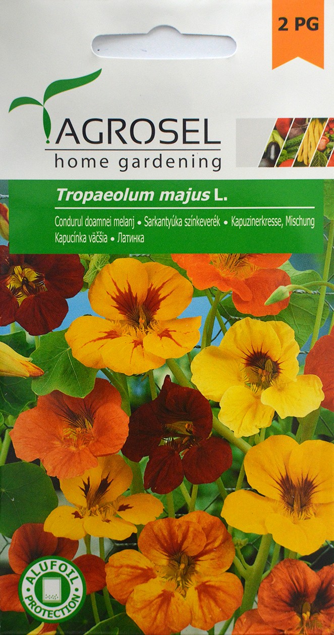 Seminte de Condurul doamnei melanj 5 g (1209 30 000)  AS