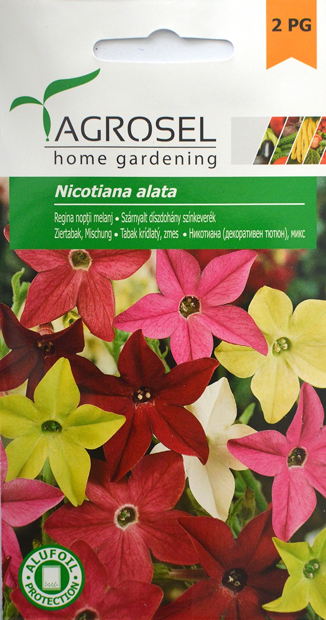 Seminte de Regina noptii melanj 0.2 g (1209 30 000)  AS