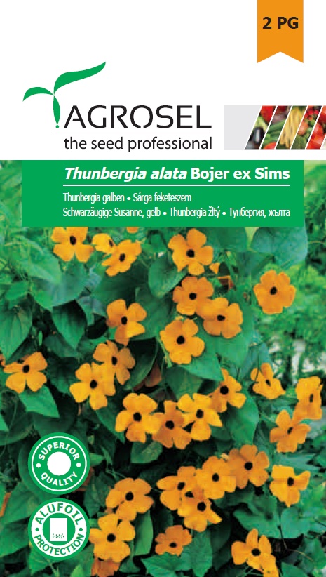 Seminte de Thunbergia galben 1 g (1209 30 000)  AS