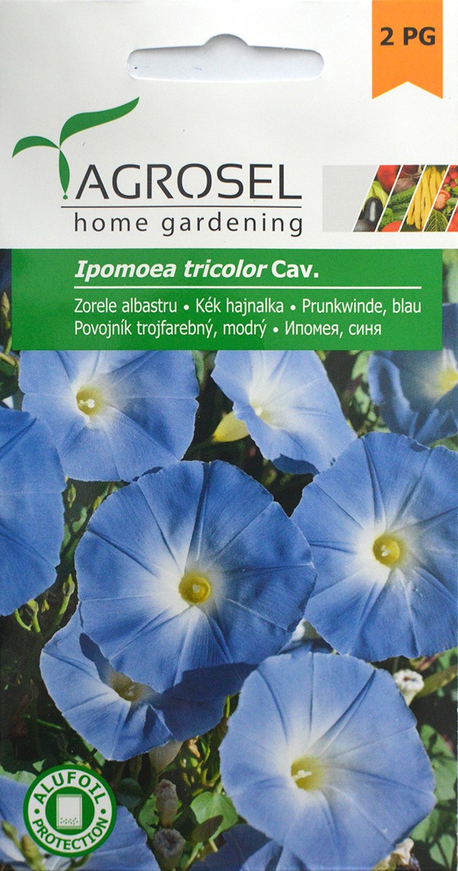 Семена Ипомея синяя 2 г  AS