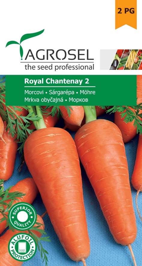 Seminte de Morcov Royal Chantenay 3 g (1209 91 800)  AS