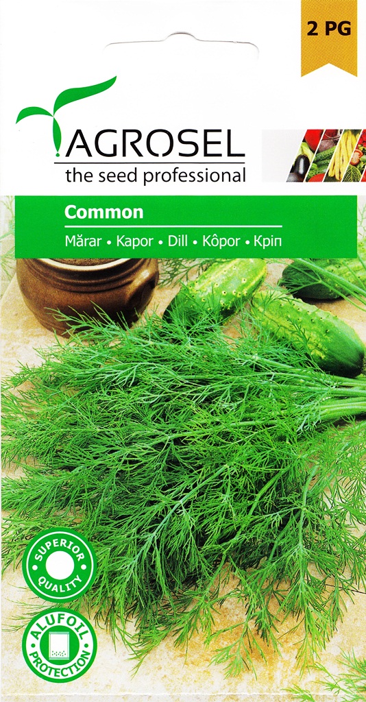 Семена Укроп 4 г  ST