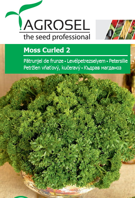 Seminte de Patrunjel de frunze cret 5 g (1209 99 990)  AS